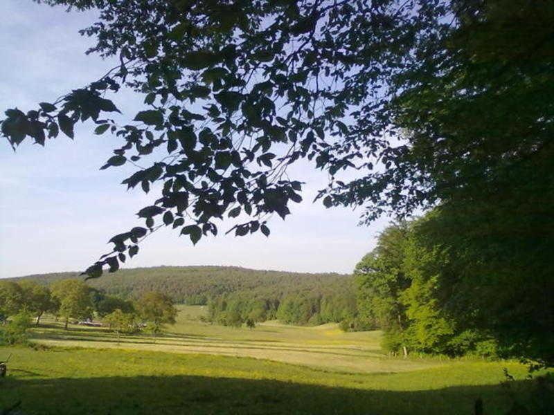 Ferienwohnungen Zeltnerhof Breitenbrunn  المظهر الخارجي الصورة
